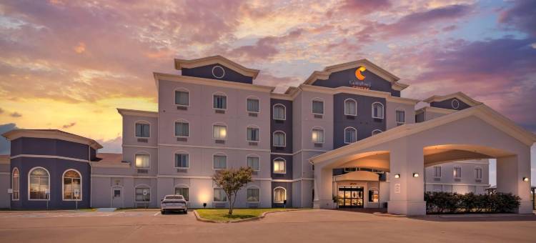 沃思湖舒适套房酒店(Comfort Suites Lake Worth)图片