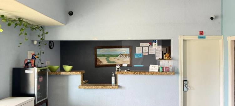O比恩韦尼多皮索尔I-35酒店(Hotel O Bien Venido Pearsall I-35)图片