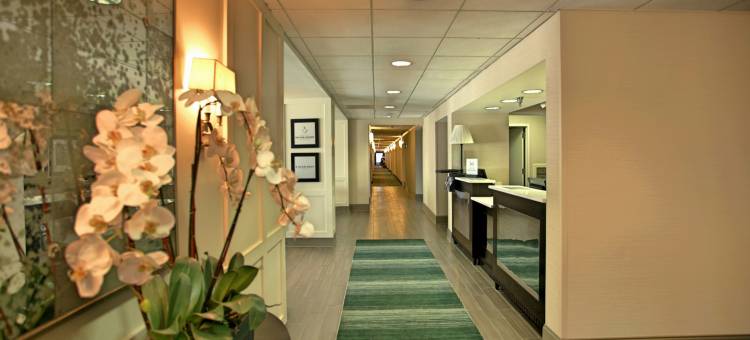 希尔顿欢朋酒店-纳奇托且斯(Hampton Inn Natchitoches)图片