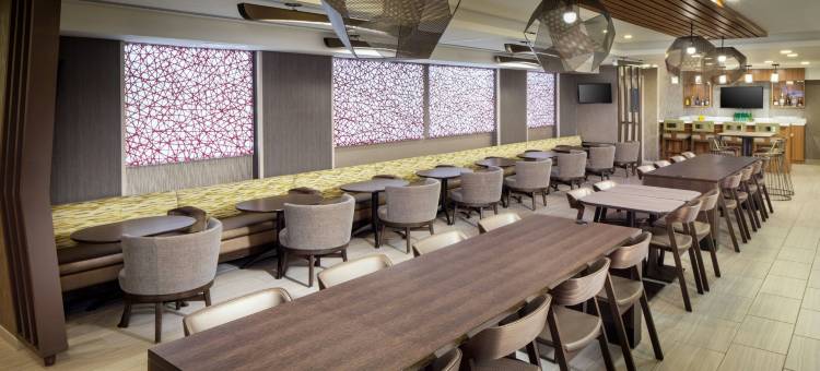 纽约JFK机场/杰梅卡SpringHill Suites酒店(SpringHill Suites by Marriott New York JFK Airport/Jamaica)图片