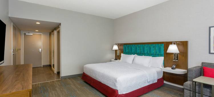 奥兰多奥科伊希尔顿欢朋酒店(Hampton Inn by Hilton Ocoee Orlando)图片