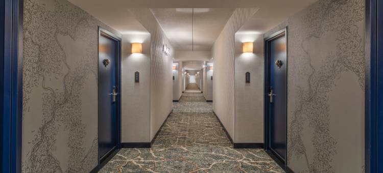夏洛特梅克伦酒店，臻品之选酒店(The Mecklen Hotel, Charlotte, a Tribute Portfolio Hotel)图片