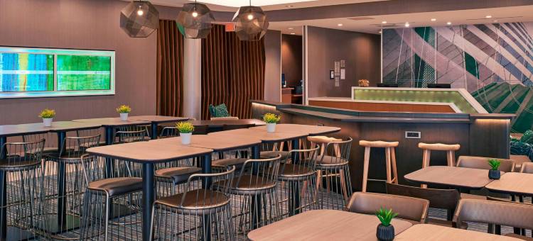 东兰辛大学区SpringHill Suites酒店(SpringHill Suites East Lansing University Area)图片
