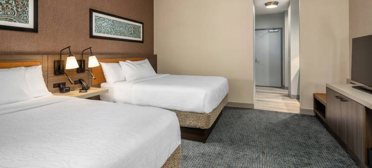 芝加哥中央环线希尔顿花园酒店-伊利诺伊州(Hilton Garden Inn Chicago Central Loop)图片