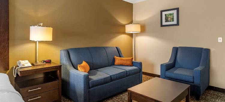 帕迪尤卡I-24舒适酒店(Comfort Inn Paducah I-24)图片