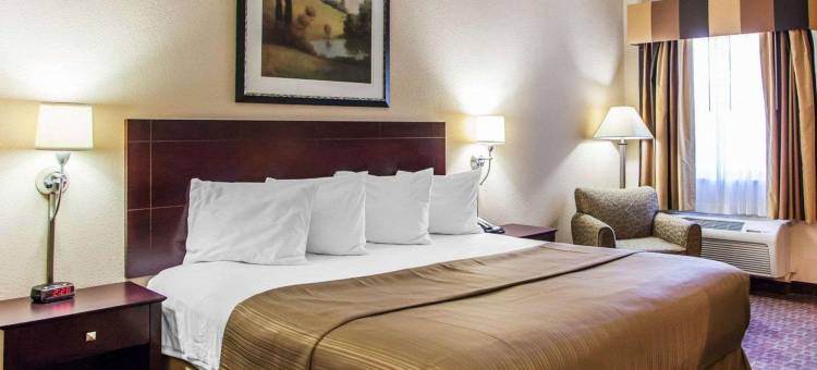 凯艺套房酒店(Quality Inn & Suites)图片