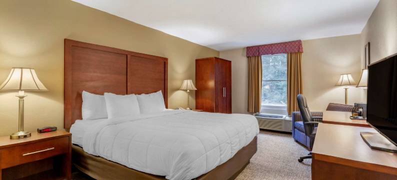 福克斯伯勒-曼斯菲尔德舒适酒店(Comfort Inn Foxboro - Mansfield)图片