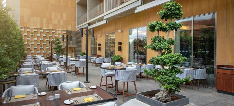 贝鲁特市中心希尔顿酒店(Hilton Beirut Downtown)图片