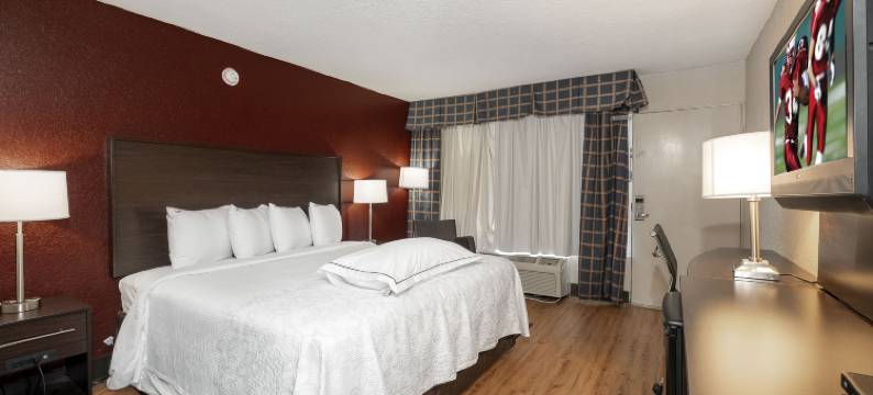 圣奥古斯丁红顶PLUS酒店(Red Roof Plus+ St Augustine)图片