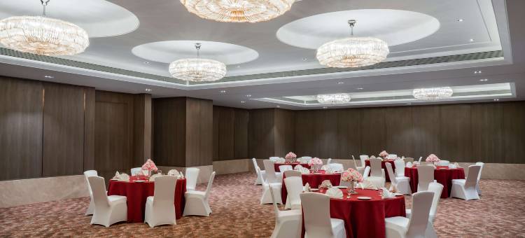 波泰尔丽笙酒店(Radisson Bhopal)图片