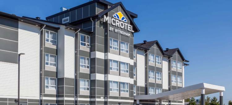 卡斯尔曼麦客达套房酒店(Microtel by Wyndham Casselman)图片