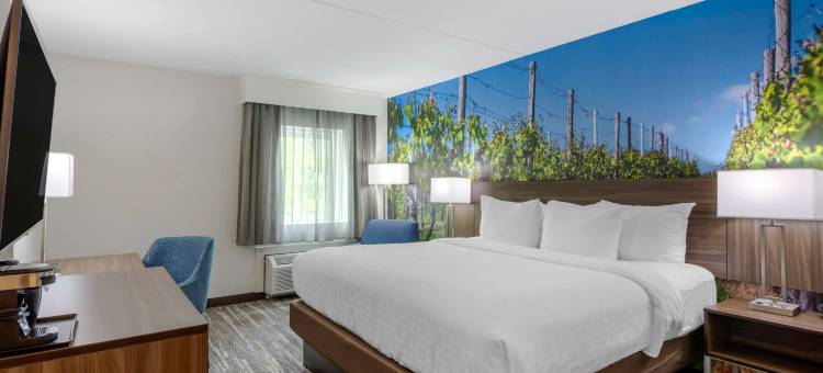 克拉丽奥波因特夏洛茨维尔酒店(Clarion Pointe Charlottesville)图片