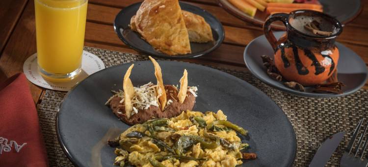 布埃布拉伽马威严酒店(Gamma Puebla Señorial Centro)图片