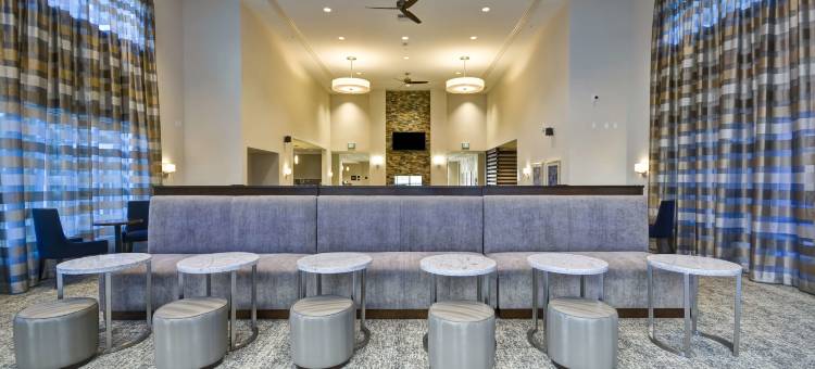 拉斯维加斯市中心Homewood Suites by Hilton(Homewood Suites by Hilton Las Vegas City Center)图片