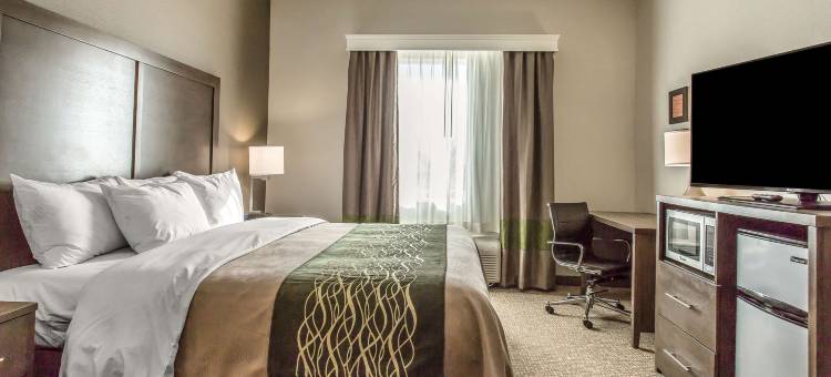 舒适套房酒店(Comfort Inn & Suites Snyder)图片