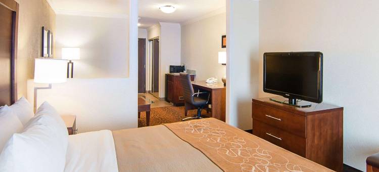 休斯顿基-卡蒂舒适套房酒店(Comfort Inn & Suites Houston West-Katy)图片