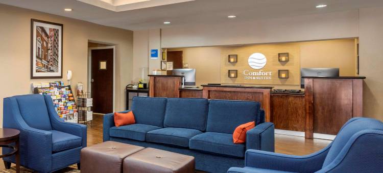 亚瑟港 - 内奇斯港舒适套房酒店(Comfort Inn & Suites Port Arthur-Port Neches)图片