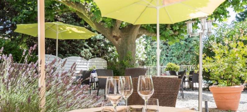 洛伊乐普林通斯酒店(Logis le Printemps Hôtel Restaurant - Montélimar)图片