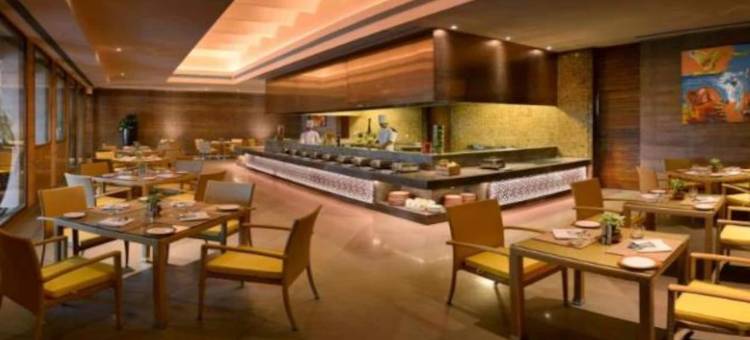 拉里曼加酒店(The Lalit Mangar)图片