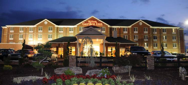 希尔顿花园酒店-亚特兰大南-麦克多诺(Hilton Garden Inn Atlanta South-McDonough)图片