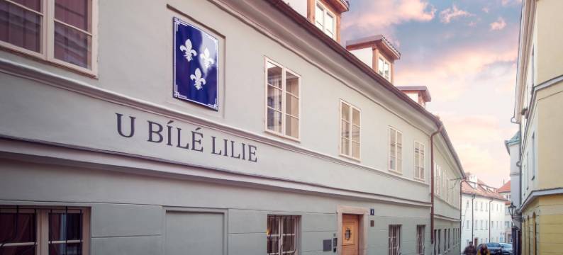 白色百合酒店(Hotel At the White Lily)图片