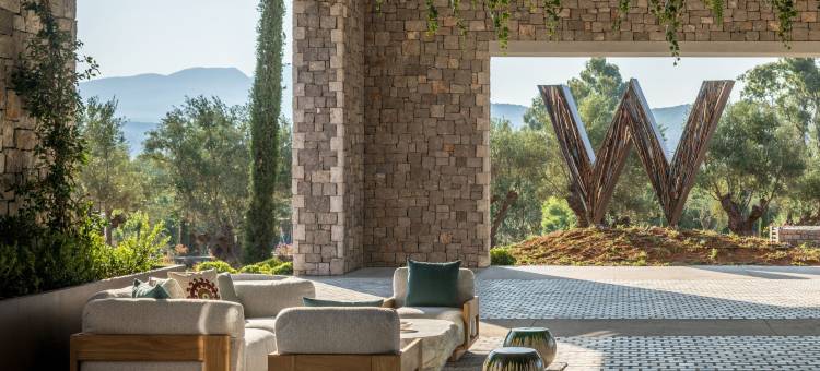 W科斯塔纳瓦里诺酒店(W Costa Navarino)图片