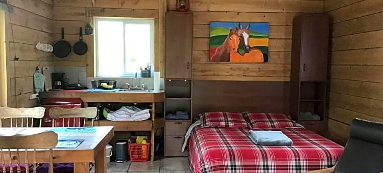 劳伦提安自然小屋(Lodge Nature Laurentides)图片