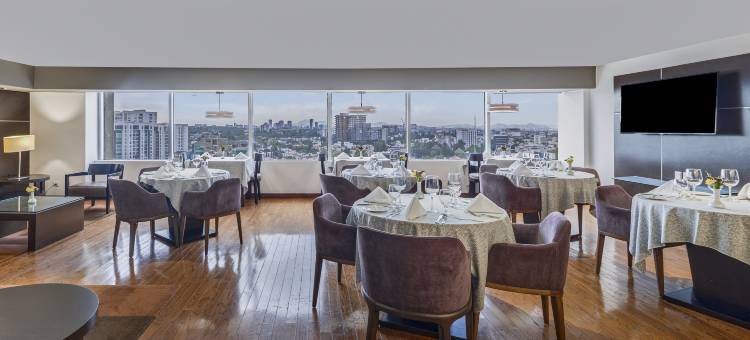 美洲瓜达拉哈拉酒店(Fiesta Americana Guadalajara)图片