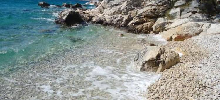 M. de Dominisa 5图片