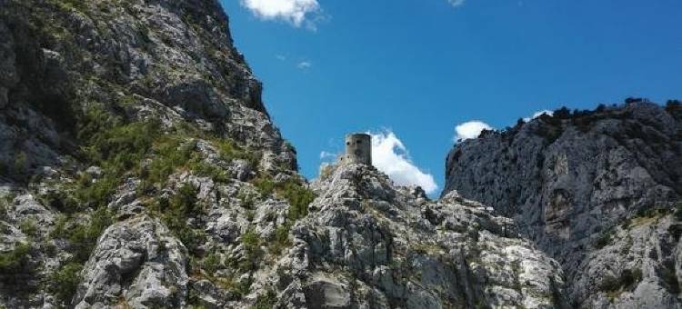 Apartments Banović图片