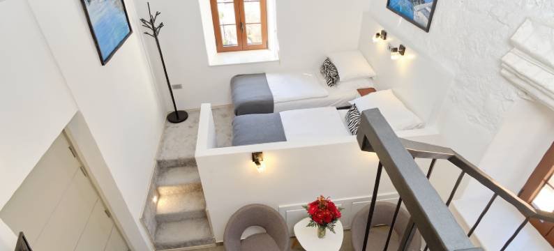 斑马(Zebra Hotel)图片