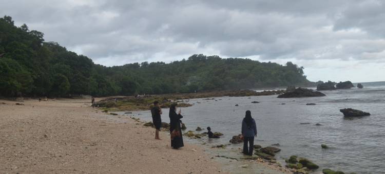 格里亚萨拉曼民宿韦迪翁博海滩(Griya Salaman Pantai Wediombo Homestay)图片