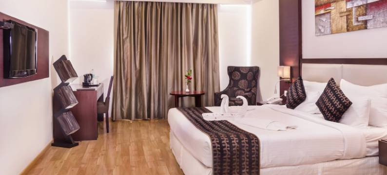 安纳亚丽景酒店(Hotel Ananya Regency)图片