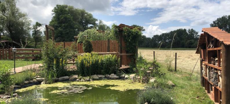 维斯穆赫酒店(Weiße Mühle)图片