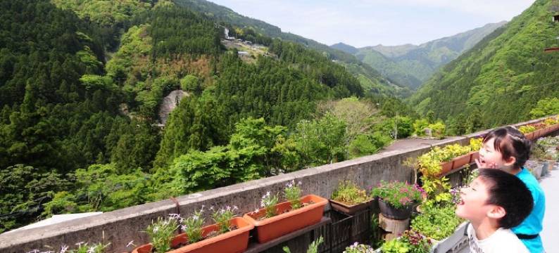 祖谷旅館葛屋(iyanoyado kazuraya)图片