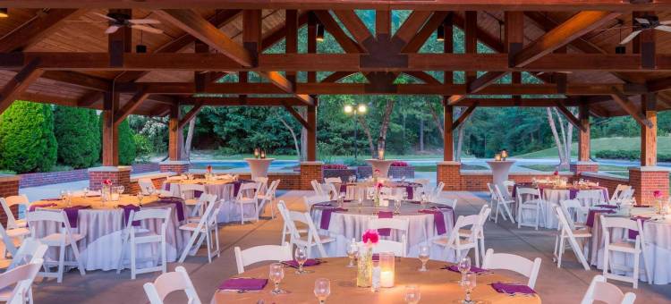 希尔顿安泊酒店-格林维尔高尔夫及会议中心(Embassy Suites by Hilton Greenville Golf Resort & Conference Center)图片