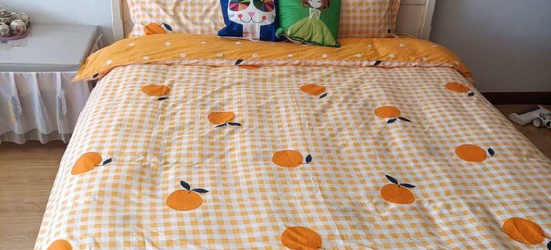 艺馨爱民宿(太平街分店)图片