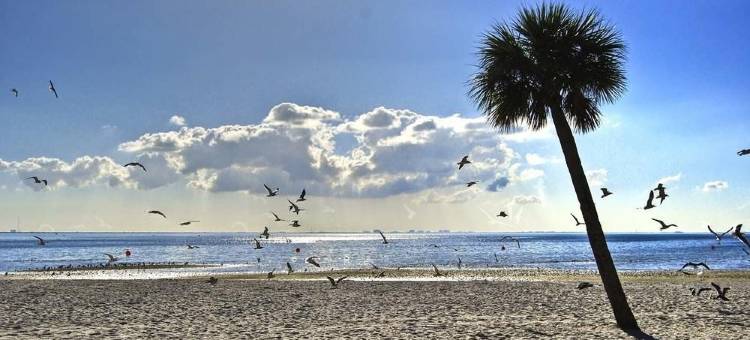 欢朋酒店-坦帕国际机场/西岸(Hampton Inn Tampa-Airport/Westshore)图片