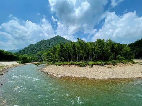 紫藤苑丨360°竹海云烟·亲子·度假美宿(泾县月亮湾风景区店)图片