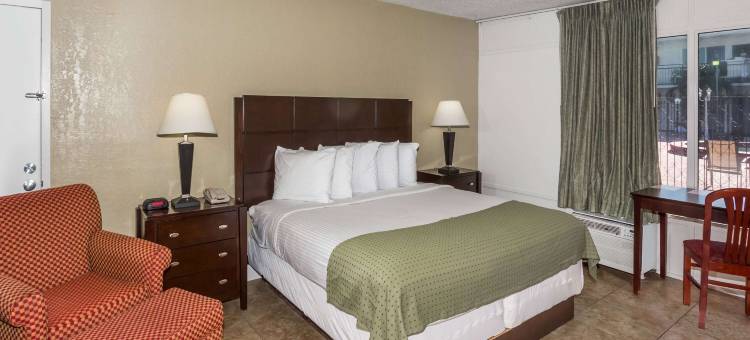 圣彼得堡坦帕湾地区温德姆戴斯酒店(Days Inn by Wyndham St. Petersburg / Tampa Bay Area)图片