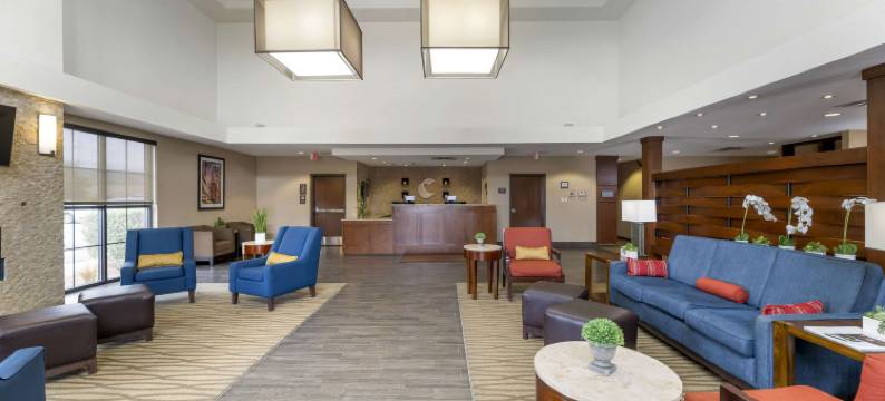卡尔斯巴德舒适套房酒店(Comfort Suites Carlsbad)图片