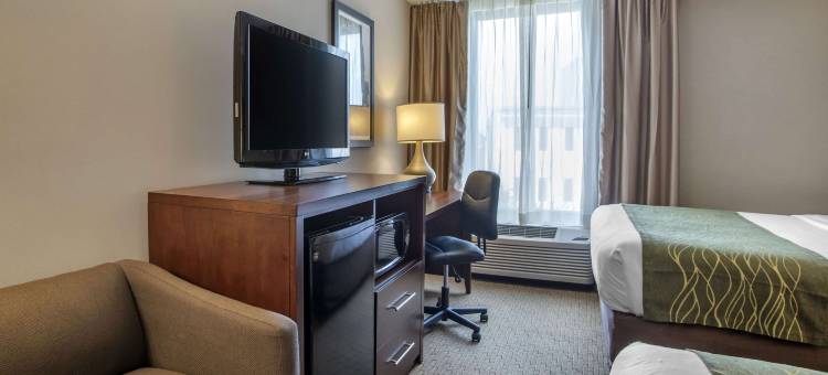 舒适酒店-盖瑟斯堡罗克维尔凉荫丛(Comfort Inn Shady Grove - Gaithersburg - Rockville)图片