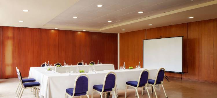 辛特拉中心 NH 酒店(NH Sintra Centro)图片