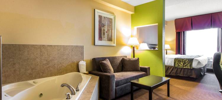 舒适套房酒店-近福赛斯I-75号(Comfort Suites Forsyth near I-75)图片