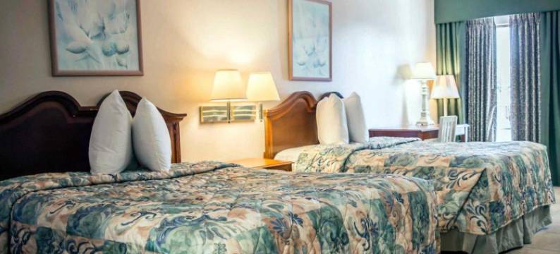 克里尔沃特-但尼丁罗德威酒店(Rodeway Inn Clearwater-Dunedin)图片