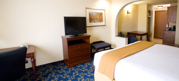 智选假日套房酒店约丹顿-普莱森 by IHG(Holiday Inn Express & Suites Jourdanton-Pleasanton by IHG)图片