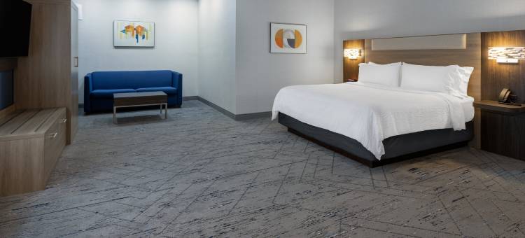 智选假日套房酒店中心镇(Holiday Inn Express & Suites Monaca - Center Township)图片