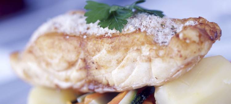 复达奥尔塔酒店(Pousada Forte da Horta – Historic Hotel)图片