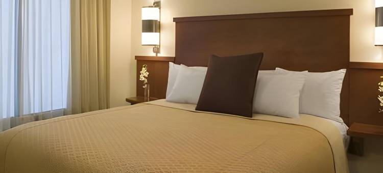 Comfort Suites Milwaukee West图片