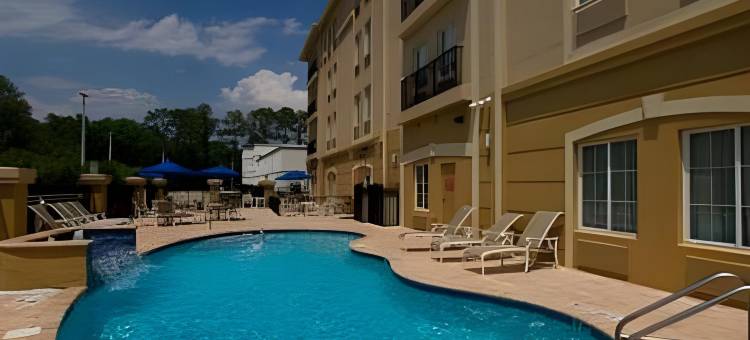 Holiday Inn Express 坦帕北 - 电信公园(Holiday Inn Express Tampa N I-75 - University Area)图片